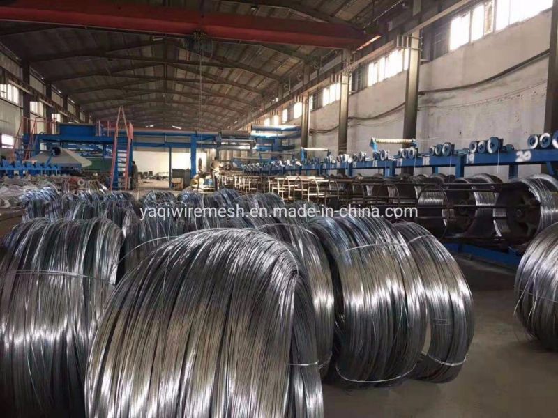 1.0mm 2.5mm Galvanized High Carbon Steel Wire Spring Steel Wire or for Fishing Net for Flexible Duct En10269