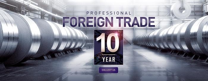 En10 24 3.1 Certificate 904 Stainless Steel C Channel with 6m