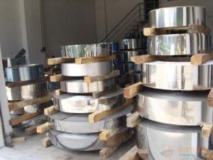309S Stainless Steel Plate/Sheet