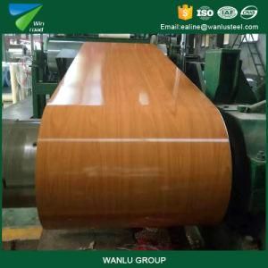 Hot Selling Factory Price Color Coated Prepainted Steel PPGI/PPGL