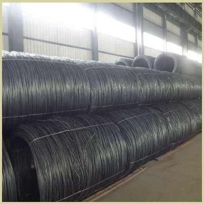 Best Quality High Carbon Coated Steel Wire