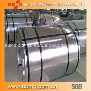 Gi Steel Coil (ISO9001: 2008; BV; SGS)