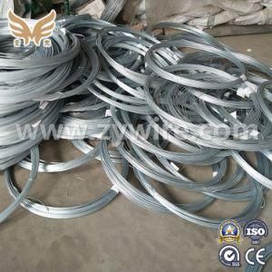 High Quality Bwg18 Hot Dipped Galvanized Steel Iron Wire