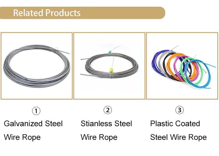 Transparent Coated Wire Rope 7X19 7X7 Plastic PVC Coated Steel Wire Rope