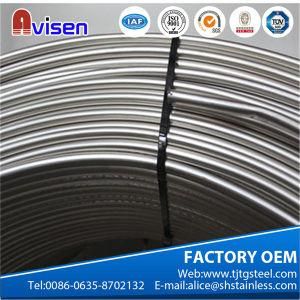 JIS ASTM 304 Seamless Stainless Steel Sorft Coil Pipe for Oil and Gas