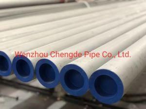 304 304L 316L 316 Stainless Steel Tube /Tp316L Seamless Stainless Steel Pipe Wholesale Price Cdpi1591
