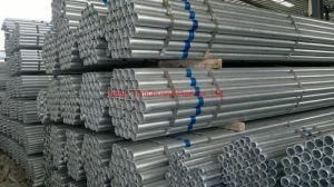 Customized Tianchuang En39/En1065 Standard Hot Dipped Galvanized Steel Pipe Scaffolding