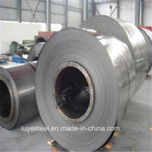 Stainless Steel 2D Finish Hot Rolled Strip&Coil 304 304L