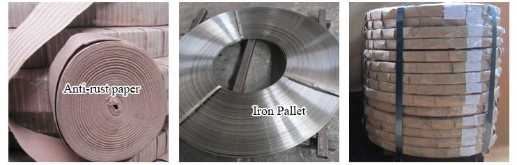 Spring Steel Strips SAE 1095 for Spare Parts and Accessories