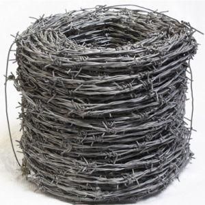 Hot Sale Galvanized Barbed Wire Fencing for Africa Market Prison Barbed Wire Fencing