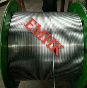 TP304 Coiled Tubing 6.35mm Supplier in China