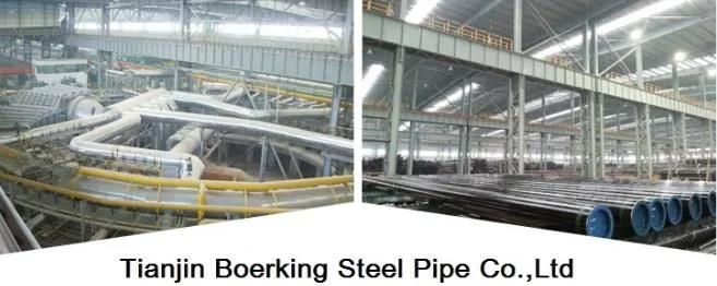 ASTM A179/A192 A335-P2 P1 P11 A213-T2 ASME SA213 T12 High Pressure Seamless Boiler Tube /Super Heater Seamless Steel Pipe