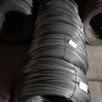Ss201 Stainless Steel Hot Rolled Wire Rod in Coil 5.5mm 6.5mm
