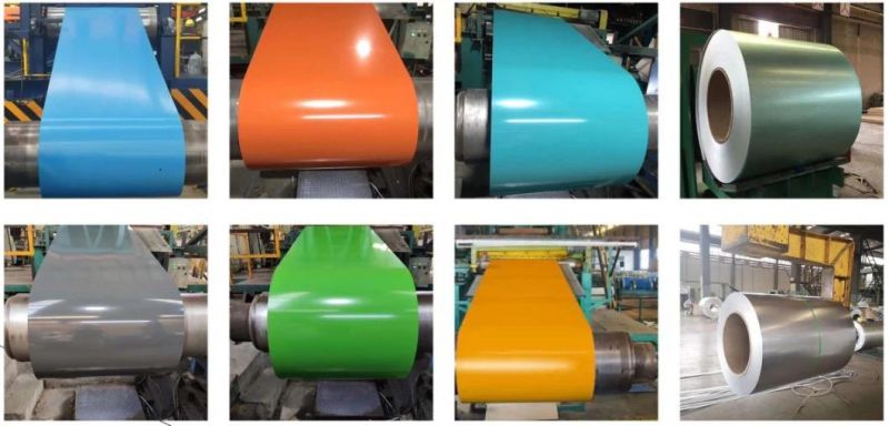 China Factory Directly Sell Gi Gl PPGI PPGL PP Gi