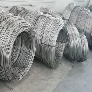 ASTM 316 Stainless Steel Coiled Tube with High Quality From China