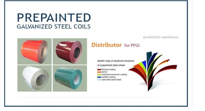 Roofing Sheet Color Coated Galvanized Steel Coil/Color Steel Coil/Steel Coil in Ral