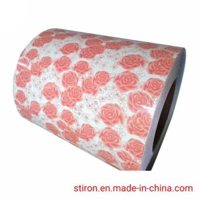 Many Types of Color Coatings. Export to Southeast Asia, South America, Europe