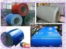 Prepainted Galvanized Steel Coil, Dx51d PPGI