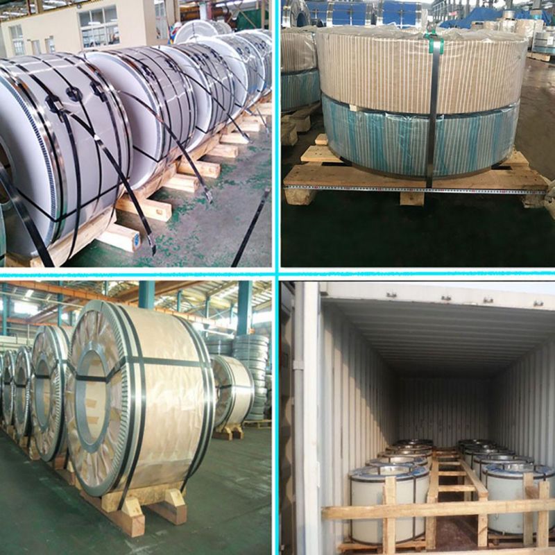 Standard Thickness AISI 309 Stainless Steel Coils Steel Price Per Kg