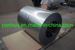 Chinese Factory Directly Sale SPCC Cold Steel Coil/Sheet/Plate/Strip