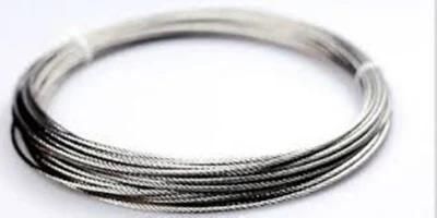 AISI 316 304 7X7 Stainless Steel Wire Rope Made for Invisible Protective Rope with High Tensile and Quality