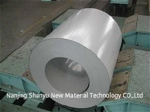 Prepainted Steel Coil/Colour Coated Steel Coil/PPGI/PPGL for Roof