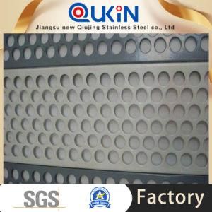 2507 Duplex Steel Perforated Steel Sheet with Mesh, Round Hole
