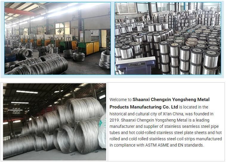 Zinc Coated Wire Hot Cold DIP Galvanized Stainless Steel Wire Supplier