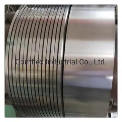 High Precision SUS/AISI 201 / 304 / 316L Cold Rolled Stainless Steel Strip