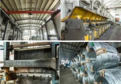 Patented High Carbon Galvanized Steel Wire for Steel Wire Rope