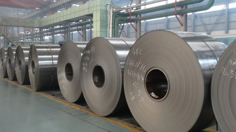 Galvanized Strip Coil Used for Animal House