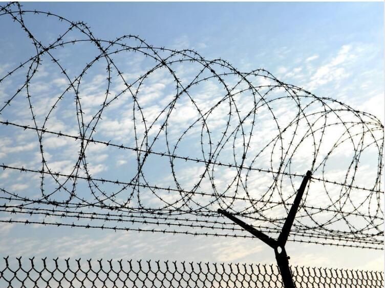 Protective Stainless Steel Barbed Wire Galvanized Steel Barbed Wire for Border/ Airport