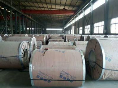 Hot Rolled/Cold Rolled/Galvanized