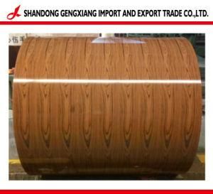 Prepainted or Color Coated Steel Coil PPGI or PPGL