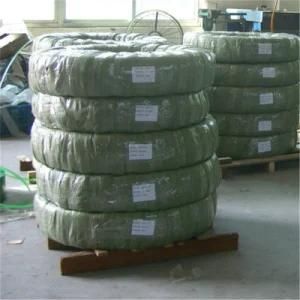 Tp 304 Stainless Steel Coil Pipe for Oil and Gas Wells