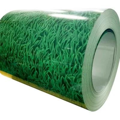 China Products/Suppliers. (GI, GL, PPGI, PPGL) Color Coated Prepainted PPGI Steel Coil