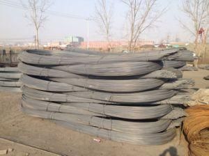 Hot Rolled High Tensile Deformed Steel Rebar in Coil