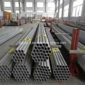 Tp310s ASTM A213 Seamless Tube