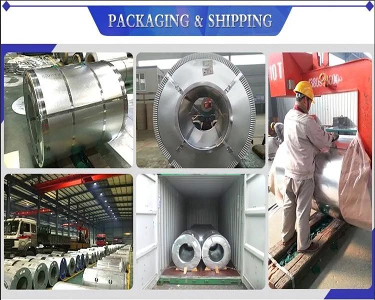 PPGI Gi Gl PPGL Hr Cr Galvanized Steel Coil Dx51d+Z90