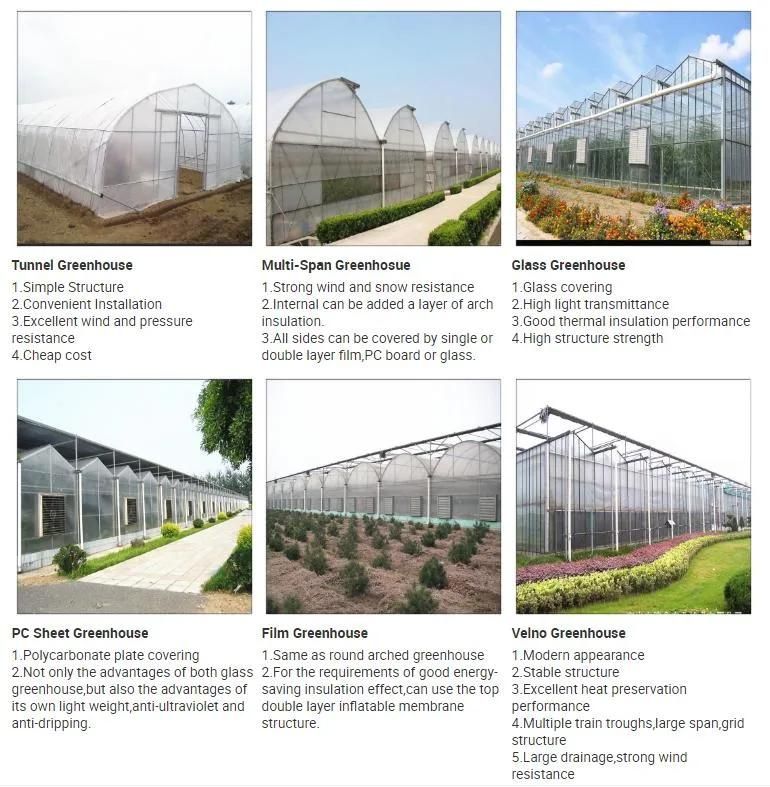 Welded Steel Pipe Galvanized Steel Pipe Steel Pipe Greenhouses Galvanized Steel Frame