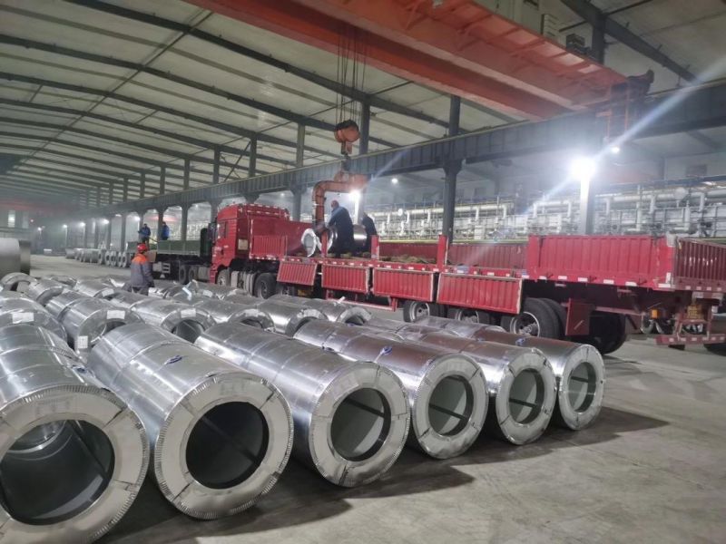 Factory Price Zinc Coated Iron Sheet Galvanized Steel Coil / Sheet / Plate / Roll for Roofing Sheets