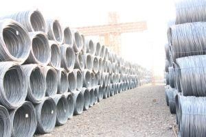 SAE1008 Ms Steel Wire Rod with High Quality Made in China