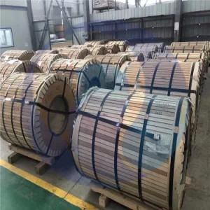 Hot Rolled 904L Stainless Steel Coil Plate