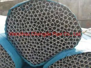 SS304 and SS316L Welded Stainless Steel Pipe Wholesale Price Cdpi1593