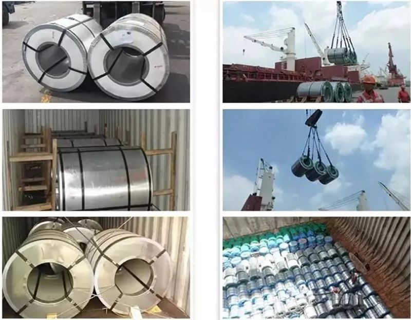 Galvanized Iron Metal Zinc Coated Sheet Coil Dx51d Z275 Galvanized Steel Coil