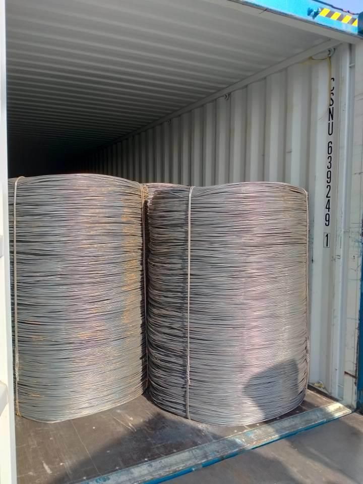 Promotion Diameter 5.5mm to 16mm Low Carbon Steel Wire Rod for Construction