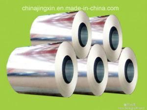 Manufactory Galvanized Steel Coil for Construction