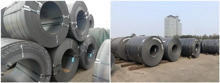 Prime Hot Rolled Steel Coil Hr for Steel Pipe and Sheet Plate to Africa Market