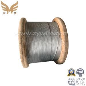 Galvanized Steel Wire Rope with High Quality