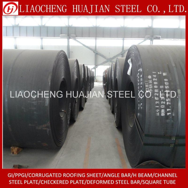 Hot Rolled Carbon Steel Coil for Building